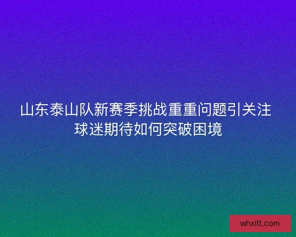 山东泰山队新赛季挑战重重问题引关注 球迷期待如何突破困境